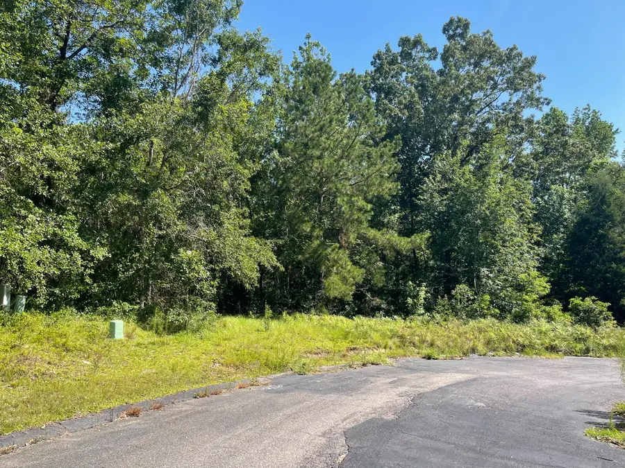 000 Madelyn Drive #1.18 Acre, Burnettown, SC 29829 - #2