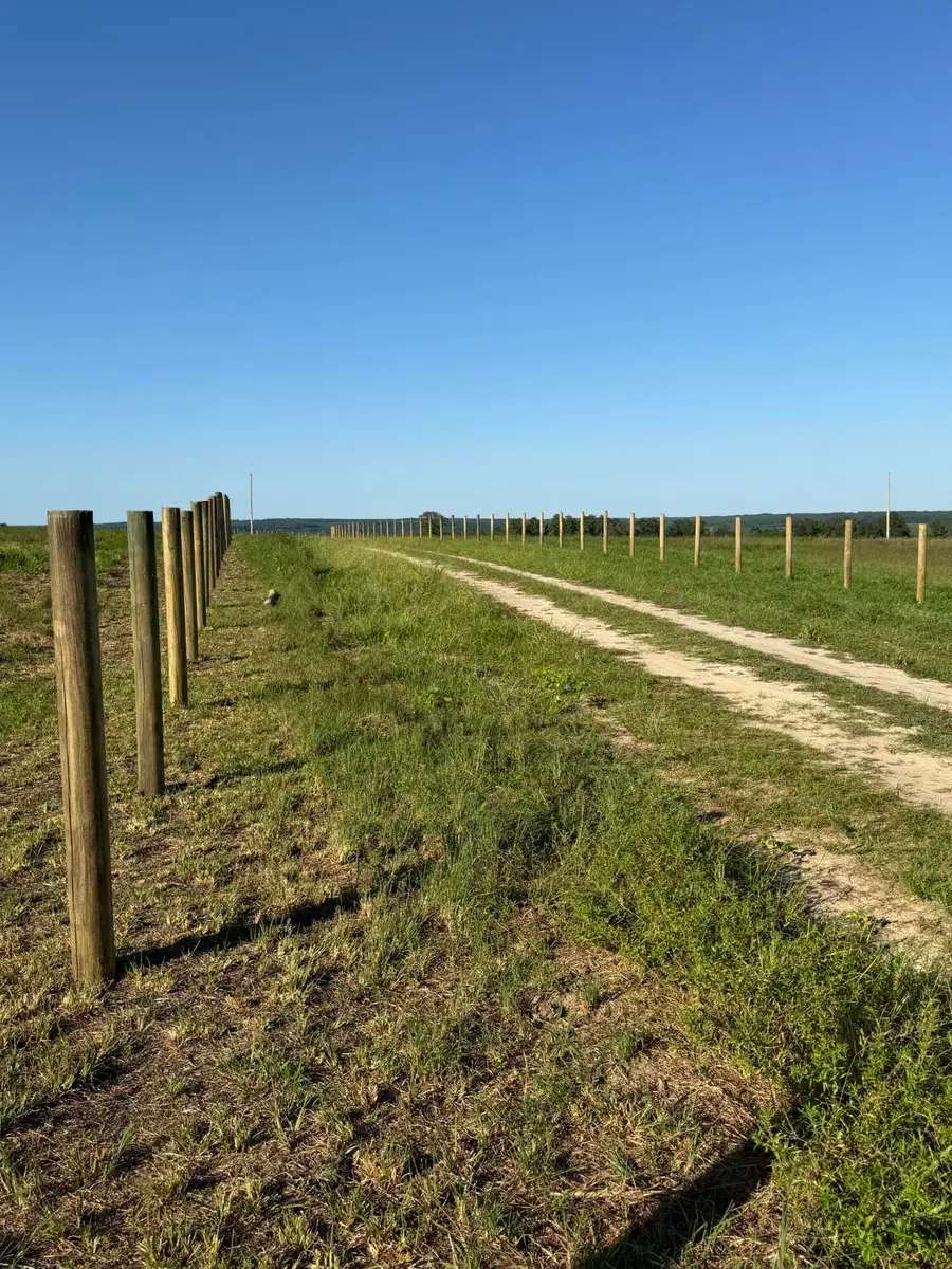 0 Glass Rope Lane, Aiken, SC 29805 - Image #2