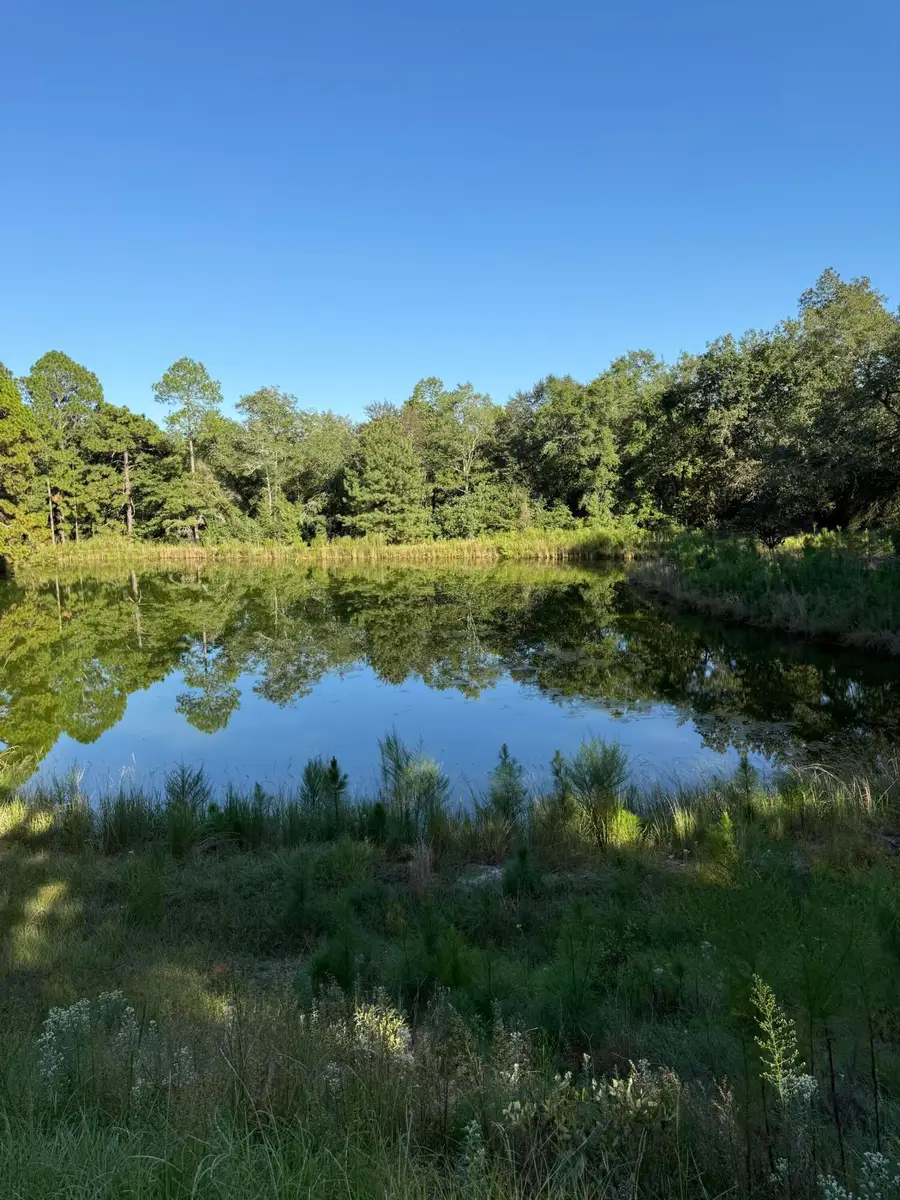 0 Glass Rope Lane, Aiken, SC 29805 - Image #3