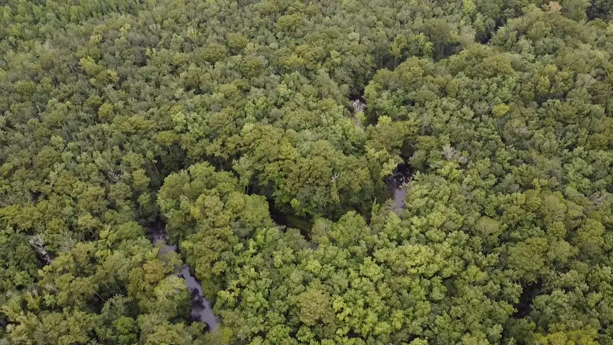 Tbd Guinyard Boulevard, Springfield, SC 29146 - Image #1