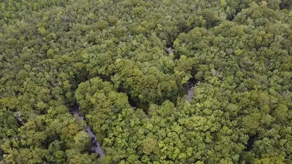 Tbd Guinyard Boulevard, Springfield, SC 29146