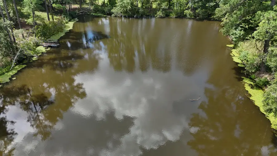 0 Hummingbird Drive, Trenton, SC 29847 - #2