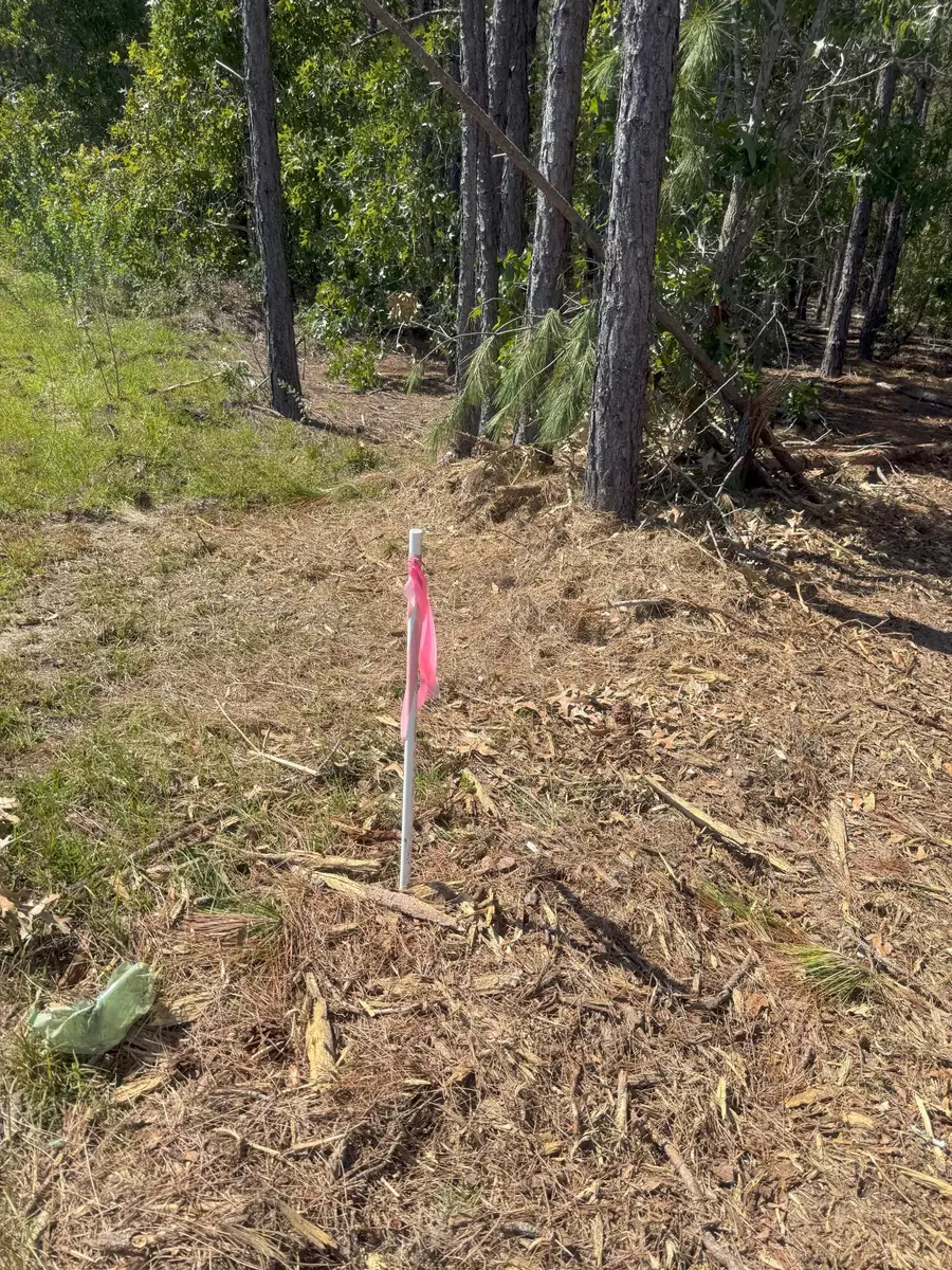 Kf 4 Keys Lane #Kf 4, Kershaw, SC 29067 - Image #2