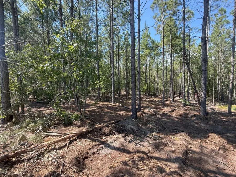 Kf 4 Keys Lane #Kf 4, Kershaw, SC 29067 - Image #3