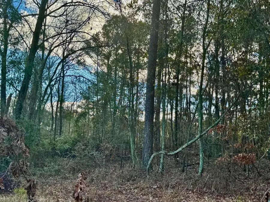 #3