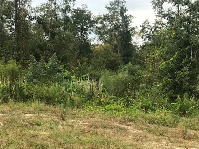#3