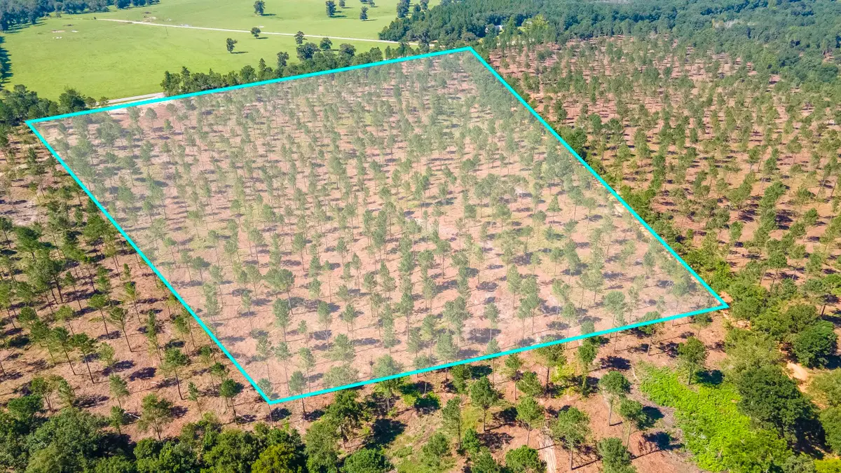 (Lot 10) Shadow Lane / Camp Rawls Rd, Wagener, SC 29164 - Image #1