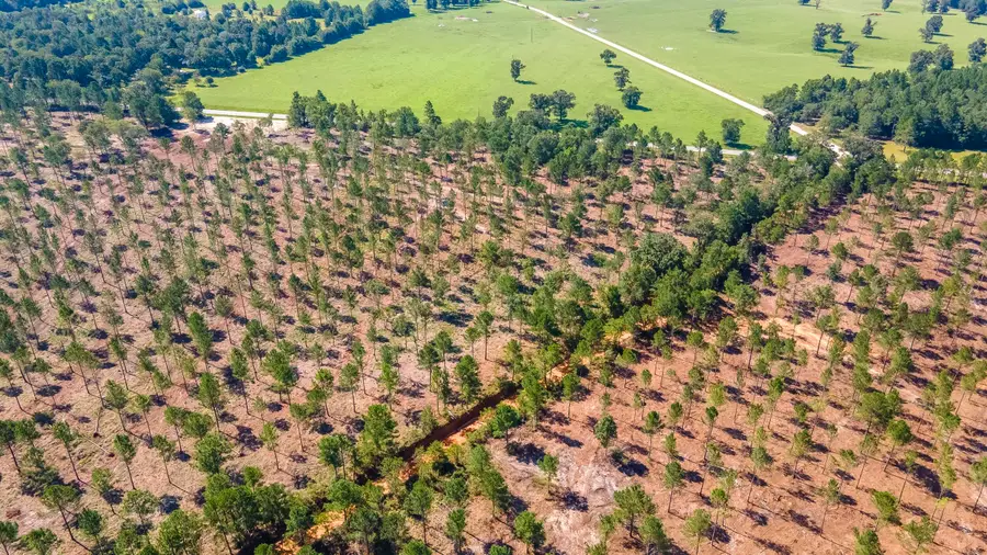 (Lot 10) Shadow Lane / Camp Rawls Rd, Wagener, SC 29164 - Image #2