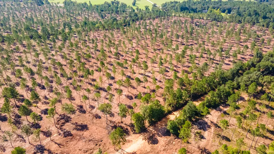 Lot 5 Bluffwood Road, Wagener, SC 29164 - Image #2