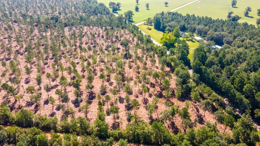 Lot 4 Camp Rawls & Bluffwood Road, Wagener, SC 29164 - Image #2