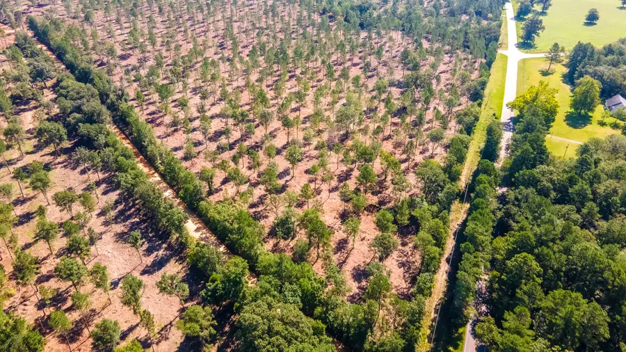 Lot 4 Camp Rawls & Bluffwood Road, Wagener, SC 29164 - Image #3