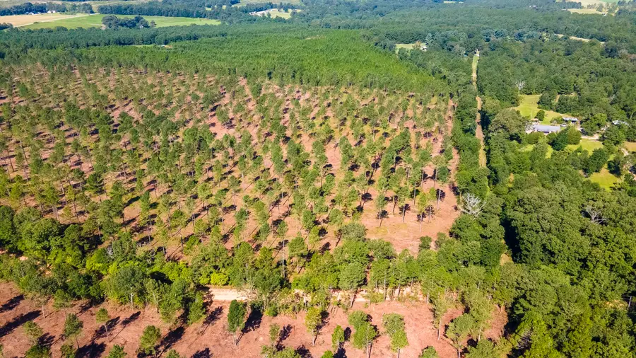 Lot 3 Bluffwood Road, Wagener, SC 29164 - Image #2