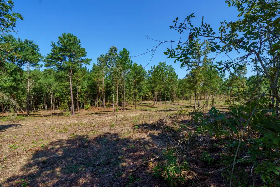 Lot 2 Bluffwood Road, Wagener, SC 29164 - Image #2