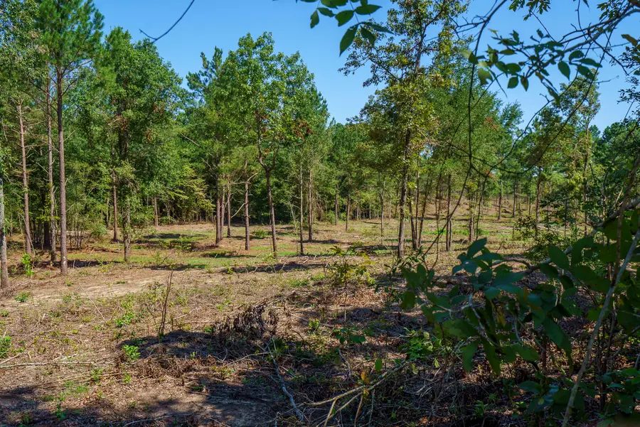 Lot 2 Bluffwood Road, Wagener, SC 29164 - Image #3