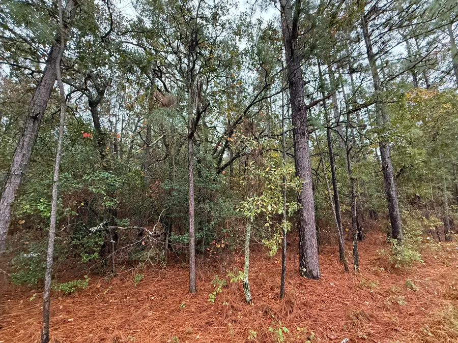 11.06 Acre State Park Road, Windsor, SC 29856 - Image #3