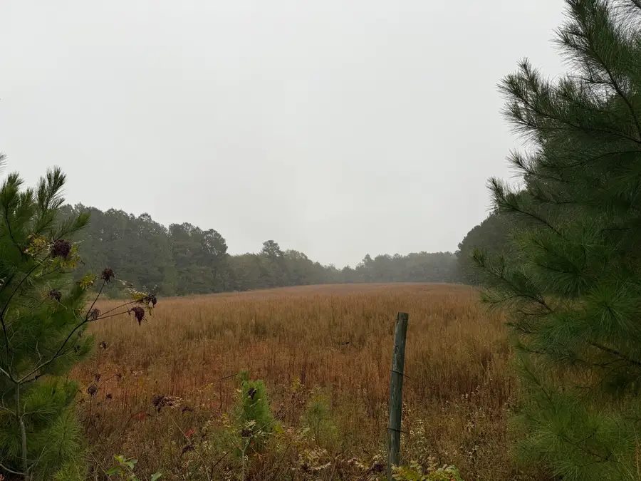 11.5 Acres State Park Road, Windsor, SC 29856 - Image #3