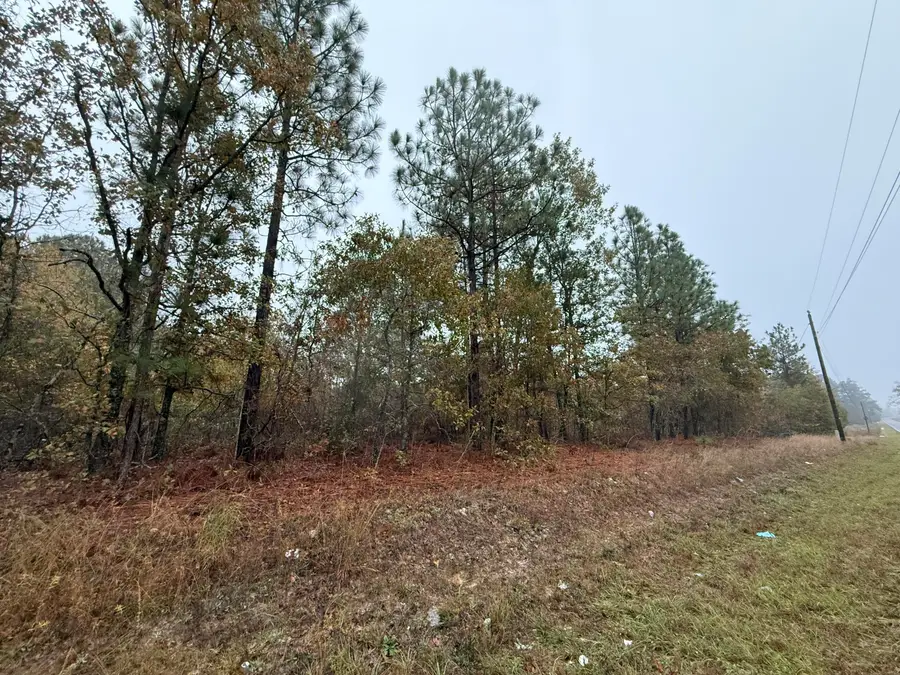 11.71 Acre State Park Road, Windsor, SC 29856 - Image #3