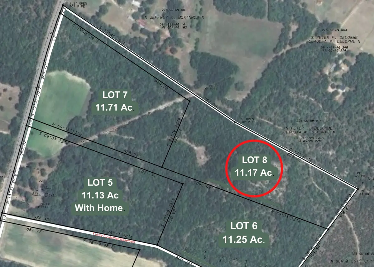 11.17 Acre State Park Road, Windsor, SC 29856 - Image #1
