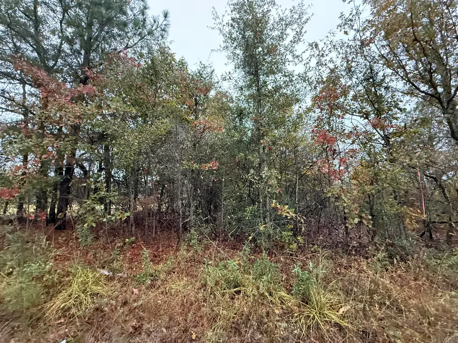 11.17 Acre State Park Road, Windsor, SC 29856 - Image #3