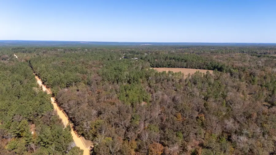 3561 Old 96 Indian Trail, Wagener, SC 29164 - Image #2