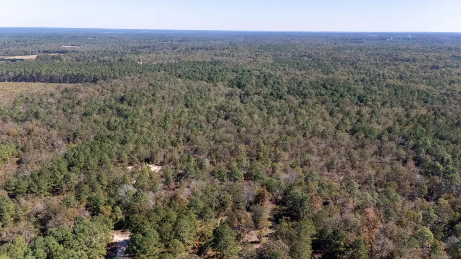 3561 Old 96 Indian Trail, Wagener, SC 29164 - Image #3