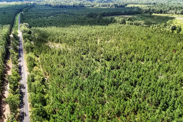 Lot 1 Old 96 Indian Trail, Wagener, SC 29164