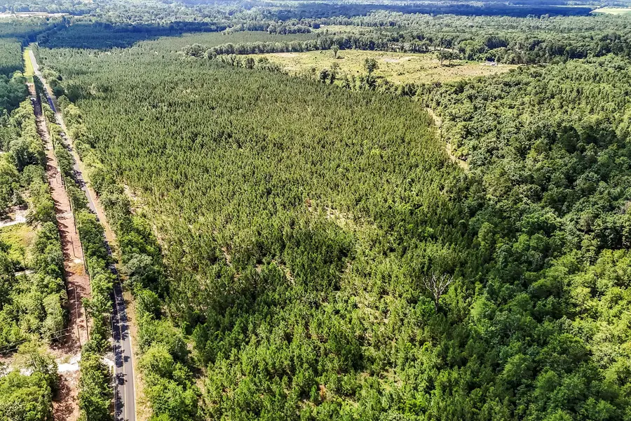 Lot 1 Old 96 Indian Trail, Wagener, SC 29164 - Image #3