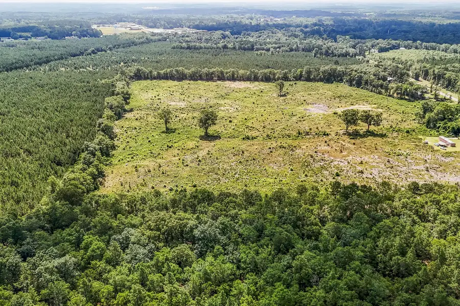 Lot 10 Old 96 Indian Trail, Wagener, SC 29164 - Image #3