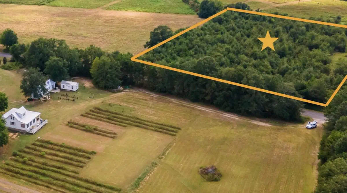 Tbd Union Academy Road, Salley, SC 29137 - Image #1