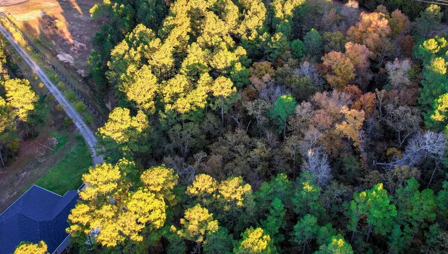 Lot 58 Lake Forest Lane, Aiken, SC 29803 - Image #3