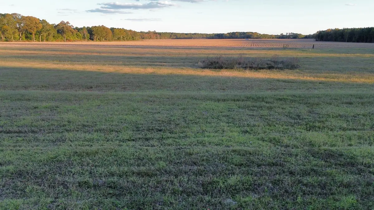 Tbd Binnicker Bridge Road, Cope, SC 29038 - Image #1