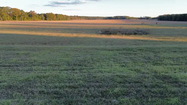 Tbd Binnicker Bridge Road, Cope, SC 29038