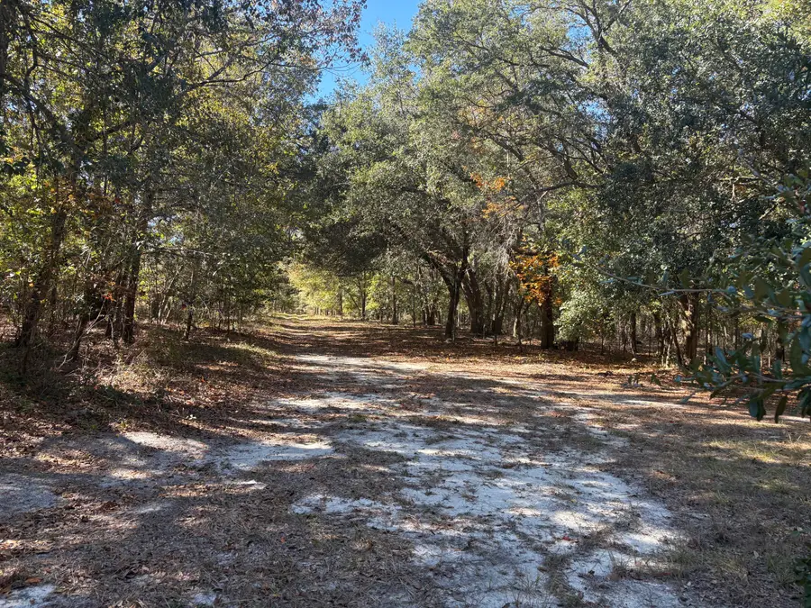 Xxx Sturgeon Road, Barnwell, SC 29812 - Image #3