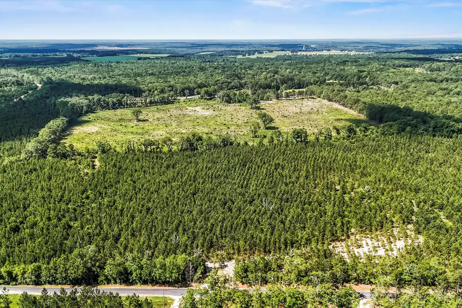 Lot 4 Mt Beluah Road, Windsor, SC 29856 - Image #2