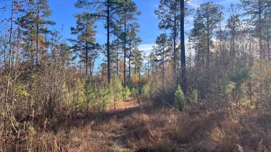 00 Cooper Pond Road, Salley, SC 29137 - Image #3