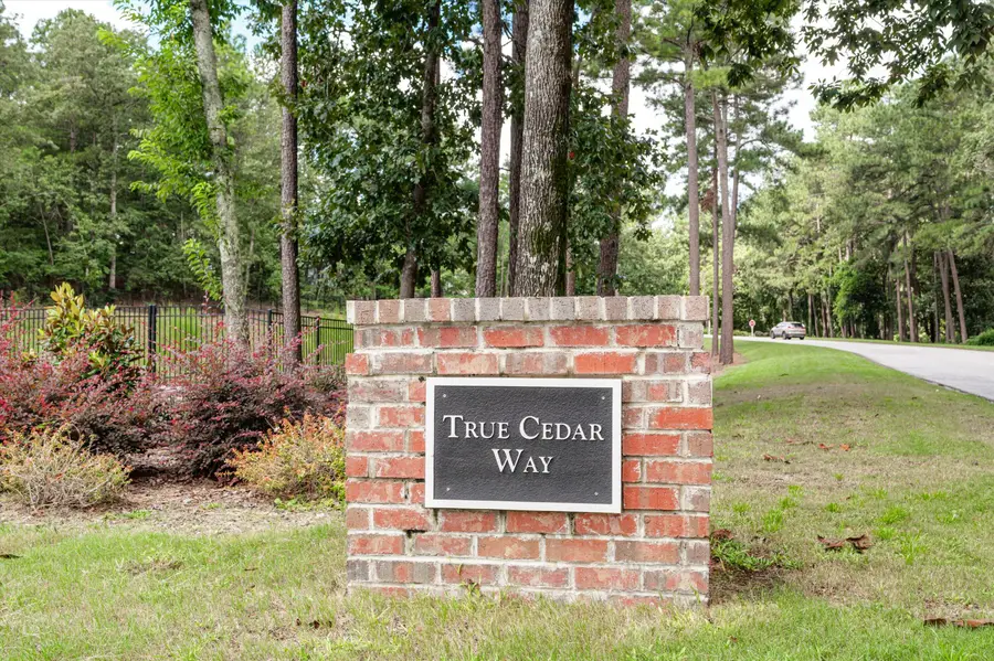 433 True Cedar Way #Lot 12, Aiken, SC 29803 - Image #2