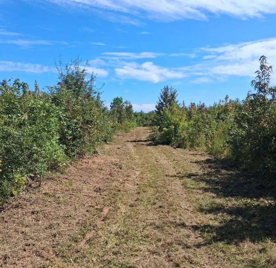 30a Bowie Road, Troy, SC 29848 - Image #2