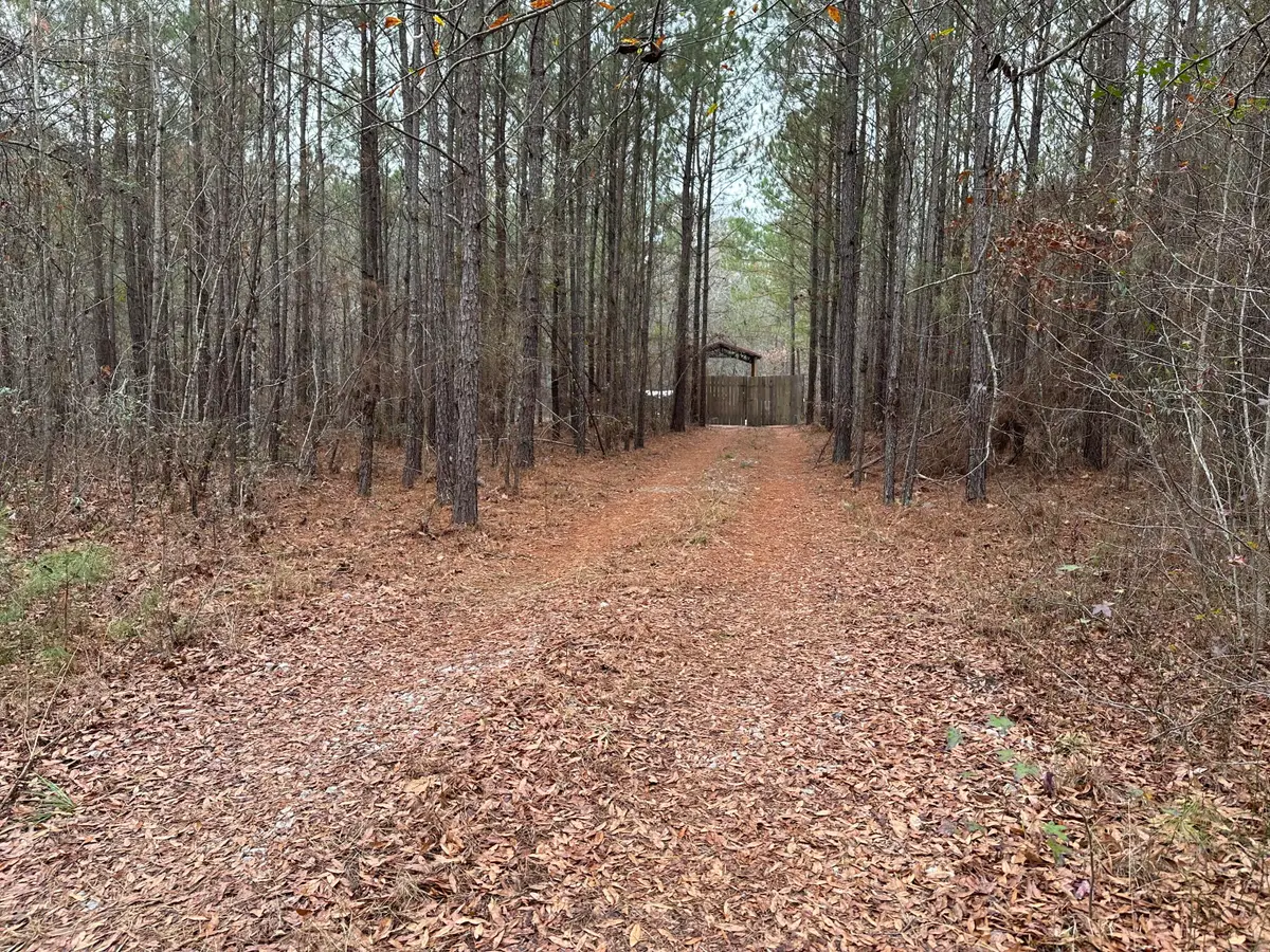 000 Old Chapell Ferry Road, Edgefield, SC 29824 - #1