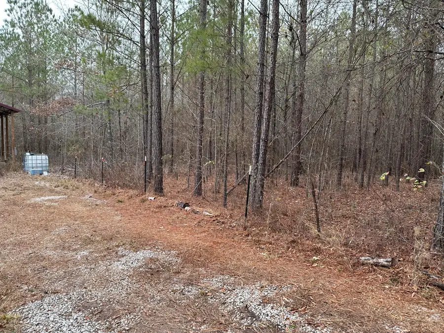 000 Old Chapell Ferry Road, Edgefield, SC 29824 - #2