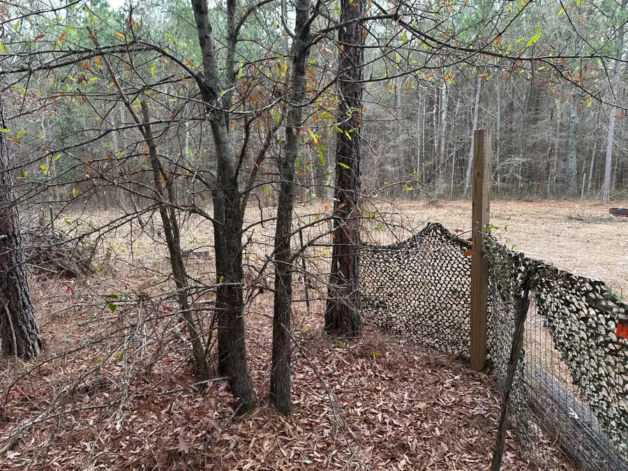 000 Old Chapell Ferry Road, Edgefield, SC 29824 - #3