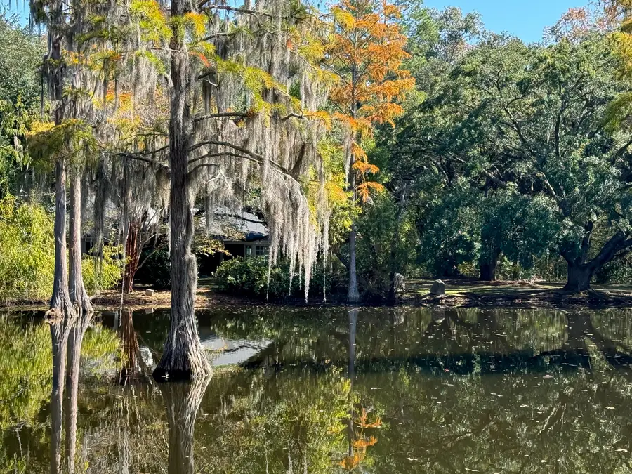 4446 Char Augusta Road, Bamberg, SC 29003 - Image #2