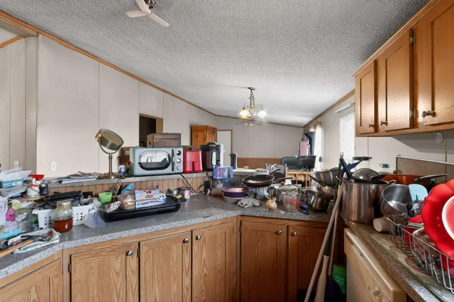 385 Gunter Pond Road, Wagener, SC 29164 - Image #3