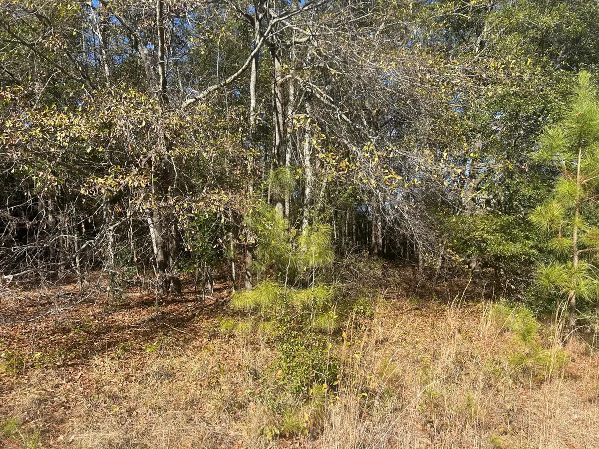 0 Off Fairway Drive, New Ellenton, SC 29809 - Image #1