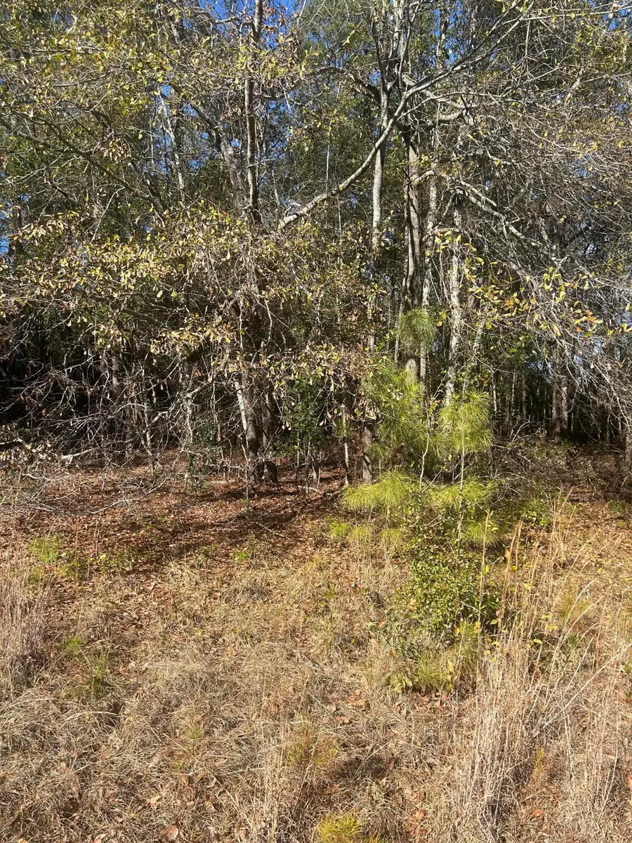 0 Off Fairway Drive, New Ellenton, SC 29809 - Image #2