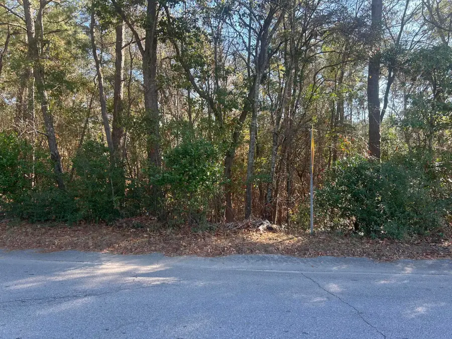 000 Fairway Drive, New Ellenton, SC 29809 - Image #2