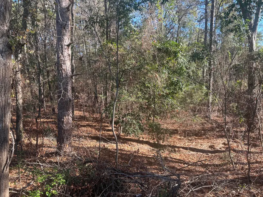 000 Fairway Drive, New Ellenton, SC 29809 - Image #3