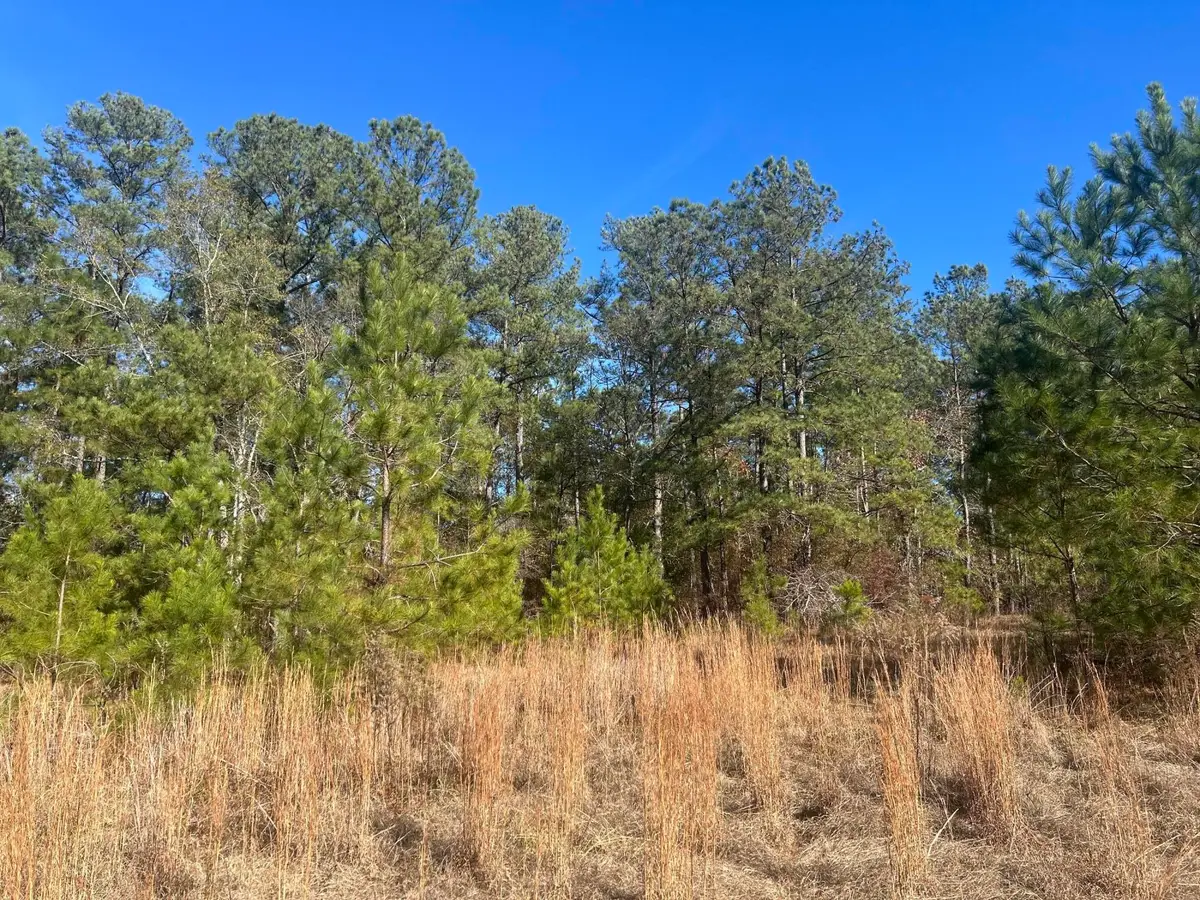 000 Off Fairway Drive, New Ellenton, SC 29809 - Image #1