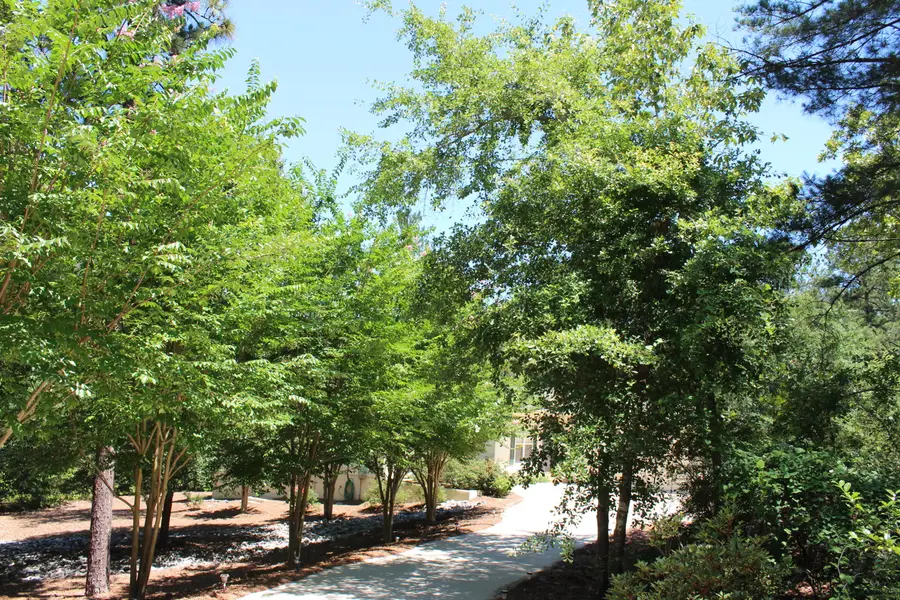 205 Oakcrest Lane, Aiken, SC 29803 - Image #2