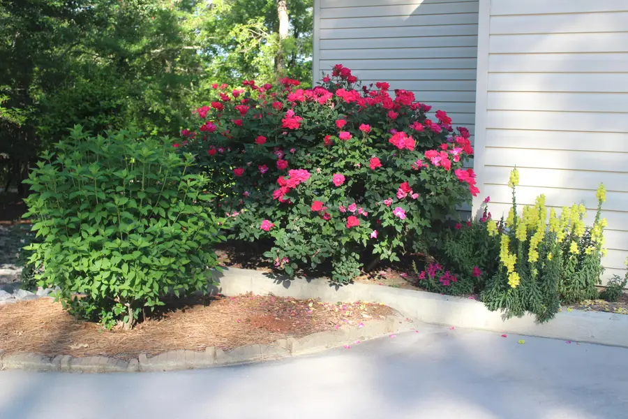 205 Oakcrest Lane, Aiken, SC 29803 - Image #3