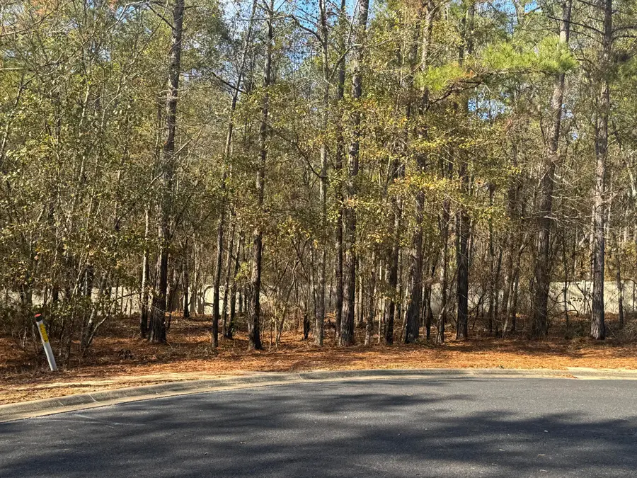 Lot 123 Ravenglass Court, Aiken, SC 29803 - Image #3
